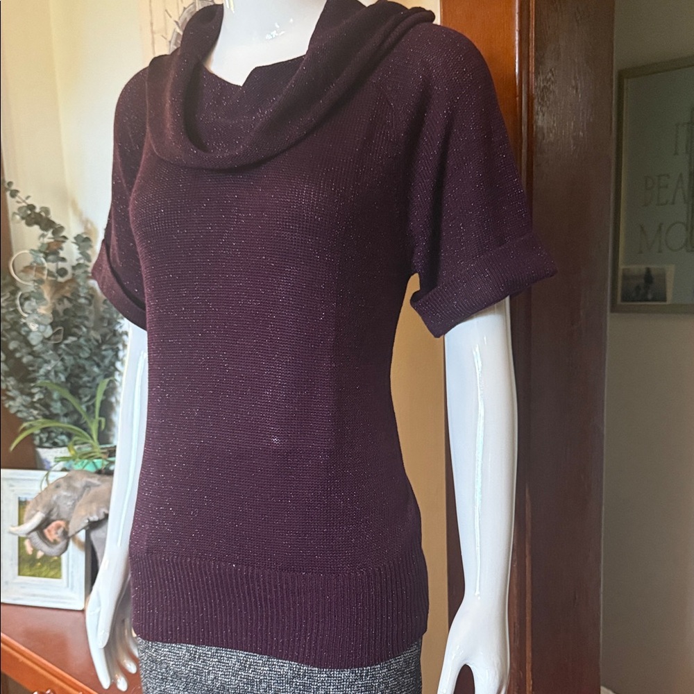 NWT northern reflections size small Elegant Purple Cowl Neck Sweater